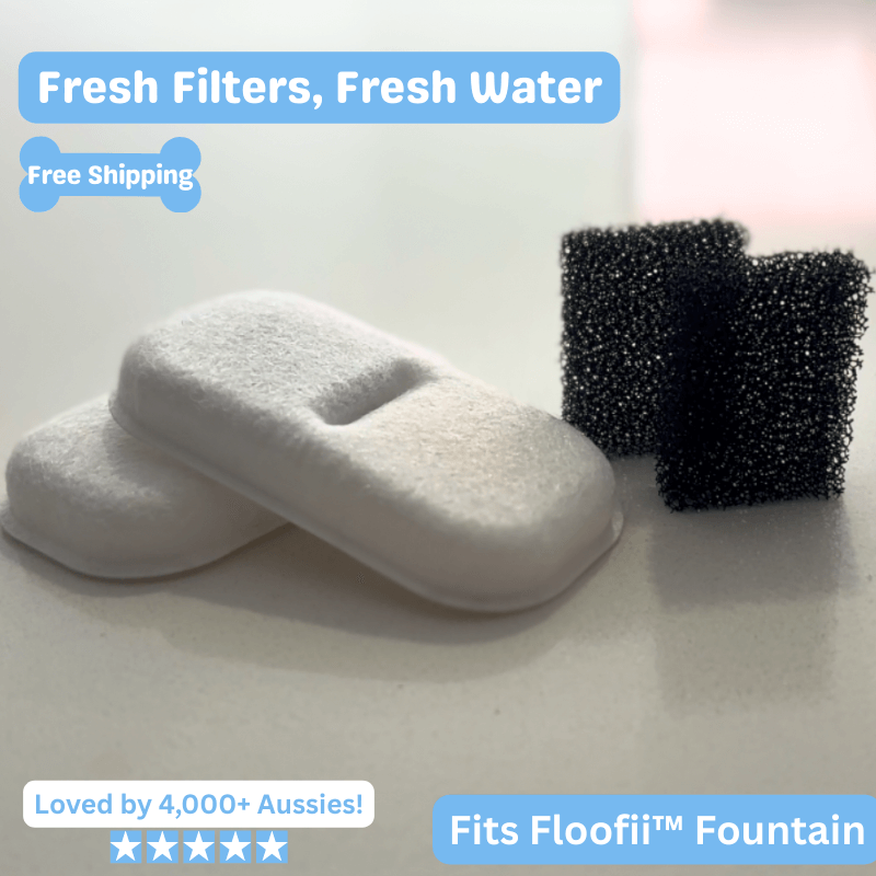 Floofii™ Filter Replacement Kit