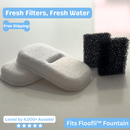 Floofii™ Filter Replacement Kit
