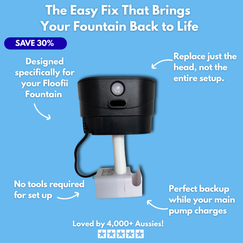 Floofii™ Replacement Pump