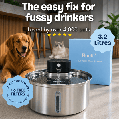 Floofii™ Filtered Water Fountain + 6 Filters Free