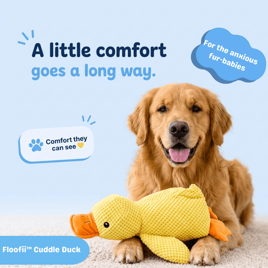 Floofii™ Cuddle Duck