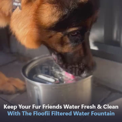 Floofii™ Filtered Water Fountain + 6 Filters Free