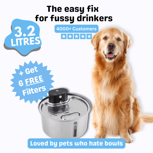 Floofii™ Filtered Water Fountain + 6 Filters Free